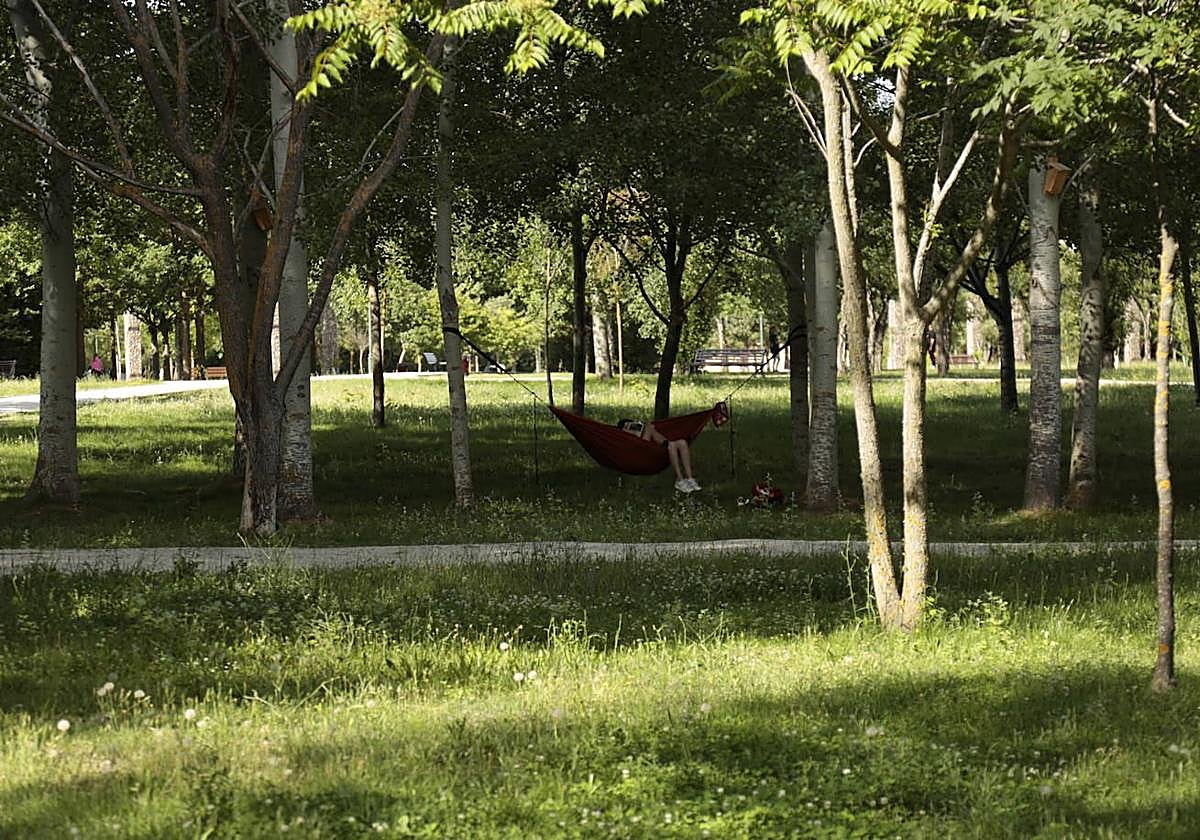 Huerta Otea, un parque con mucha vida y grandes inversiones