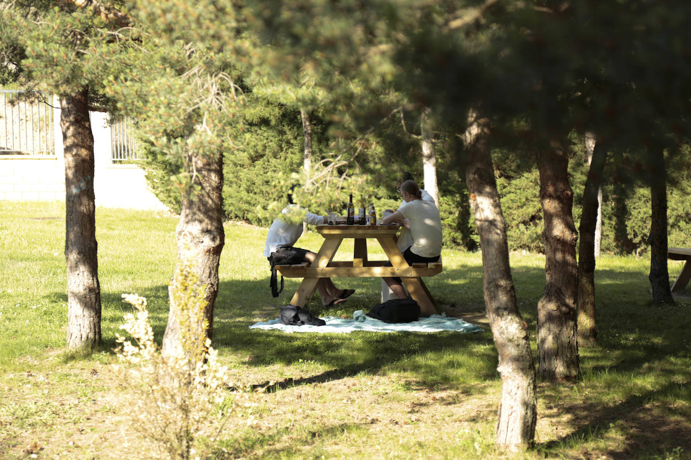 Huerta Otea, un parque con mucha vida y grandes inversiones