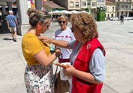 Día de la Banderita en Guijuelo, el año pasado.