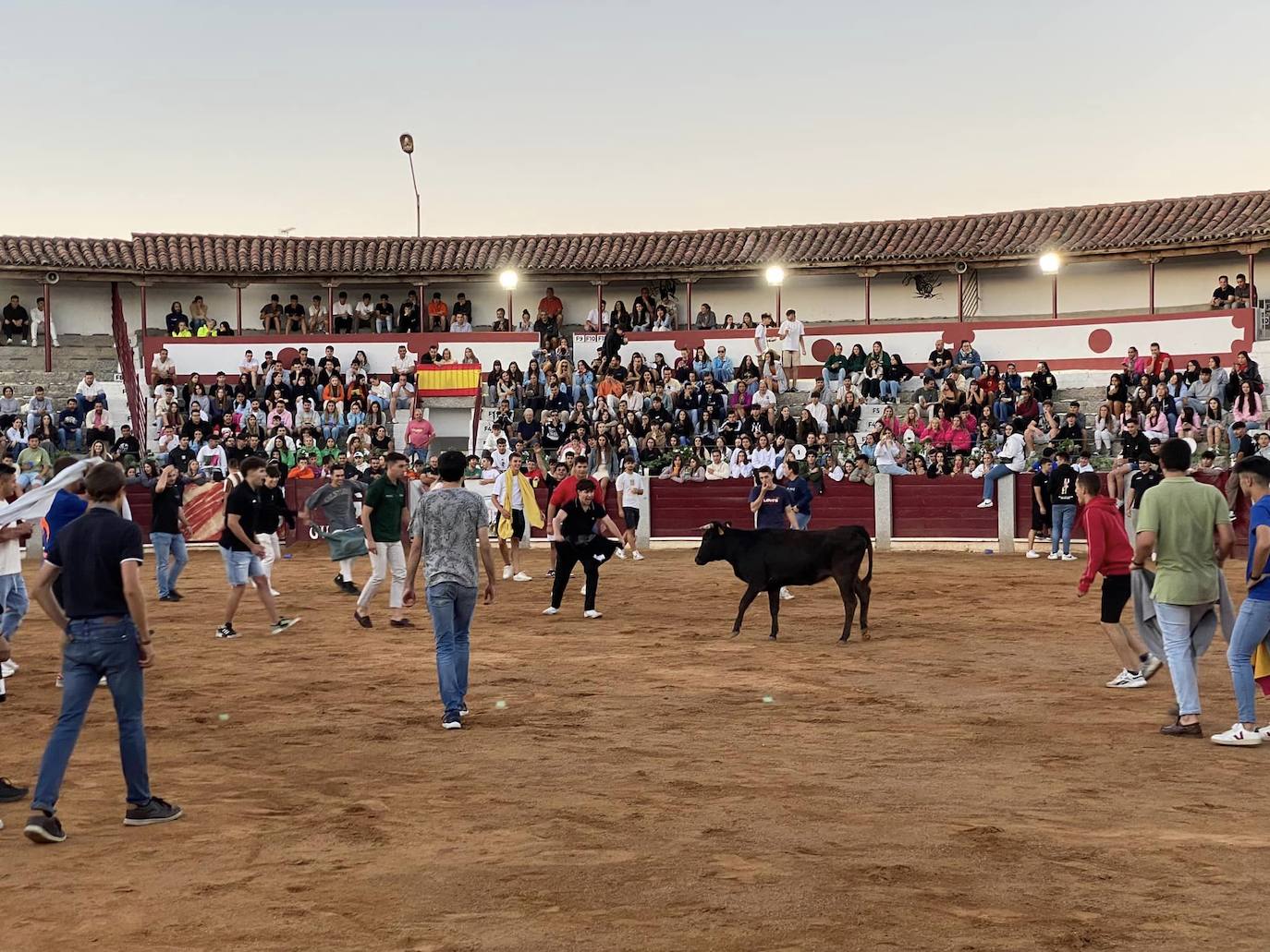 Siguen las &#039;Fiestas y Ferias&#039; de Guijuelo con rejoneo y música hasta el amanecer