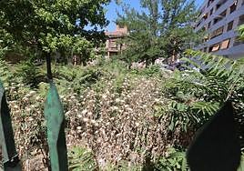 La vegetación casi no deja ver el edificio.