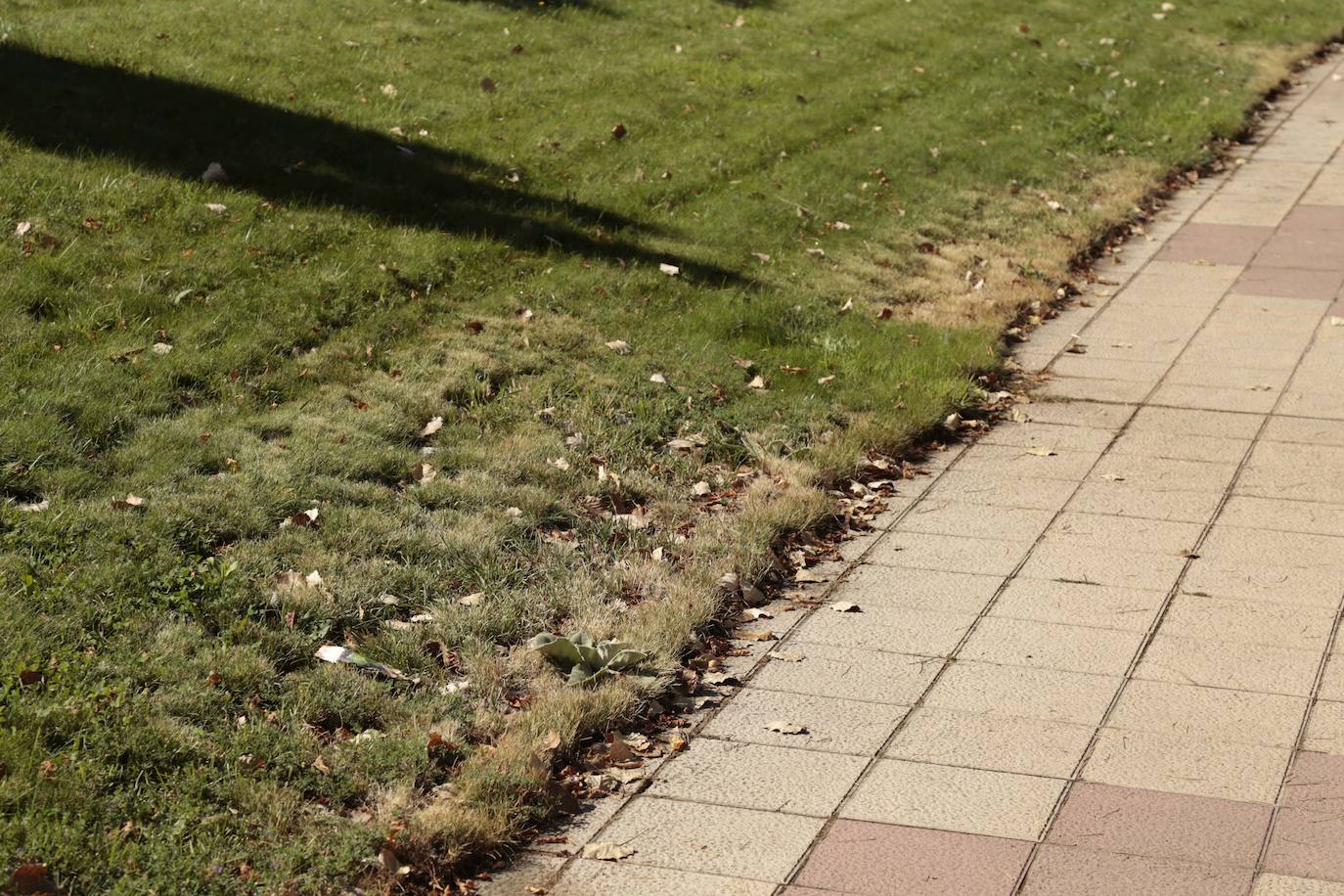 Los sistemas de riego de Salamanca, a examen