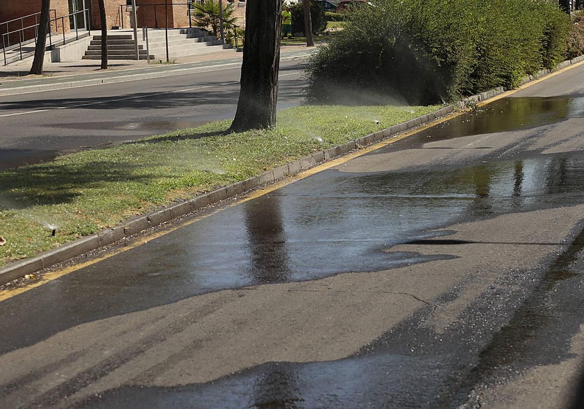 Los sistemas de riego de Salamanca, a examen
