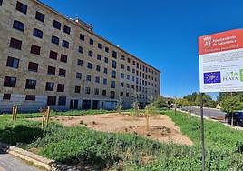 Soluciones naturales para gestionar el agua de lluvia en Salamanca