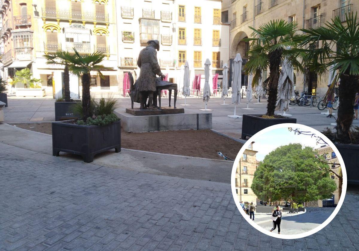 El lugar previsto para plantar el árbol y simulación de cómo quedará.