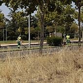 La contradicción de arrasar con limpiezas agresivas los solares municipales y pretender renaturalizar Salamanca