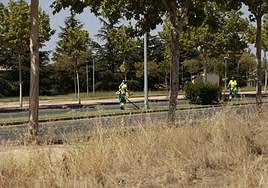 Personal de la contrata municipal haciendo las labores de limpieza