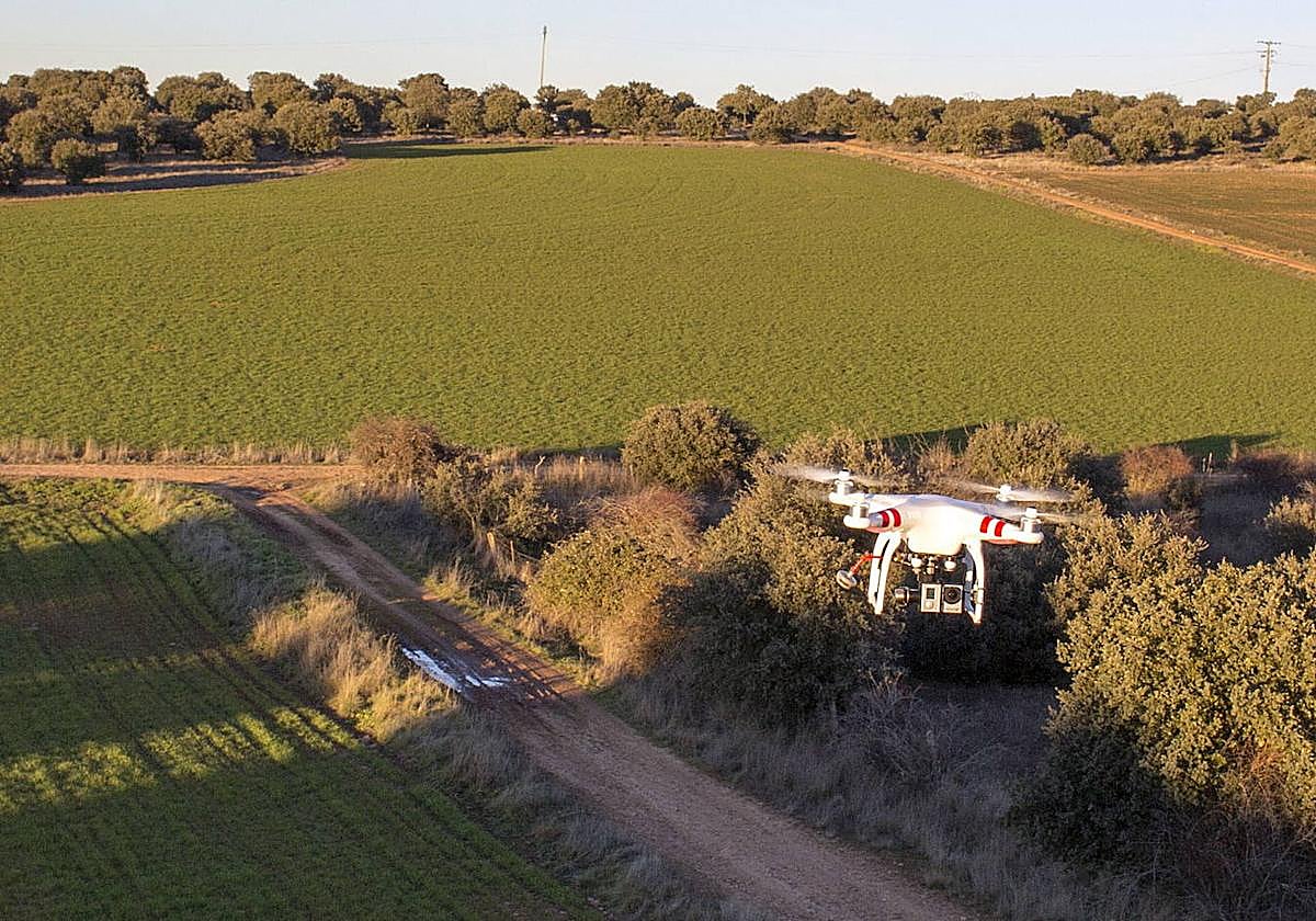 Un dron sobrevuela un camino rural del a provincia de Salamanca.