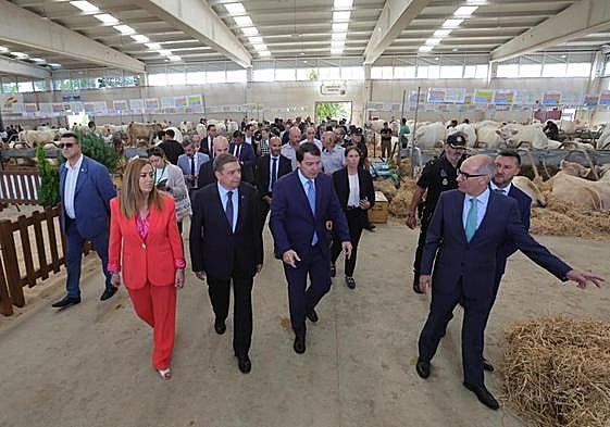 El presidente de la Diputación indica a los animales durante la visita a la nave de ganado.