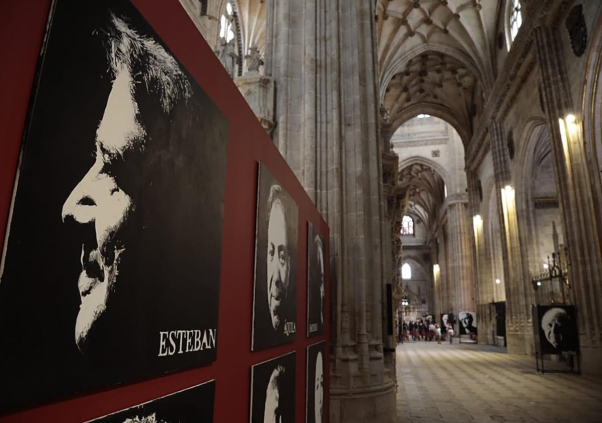 &#039;Apóstol&#039;, la exposición del retratista Ángel Luis Iglesias que adorna la Catedral de Salamanca