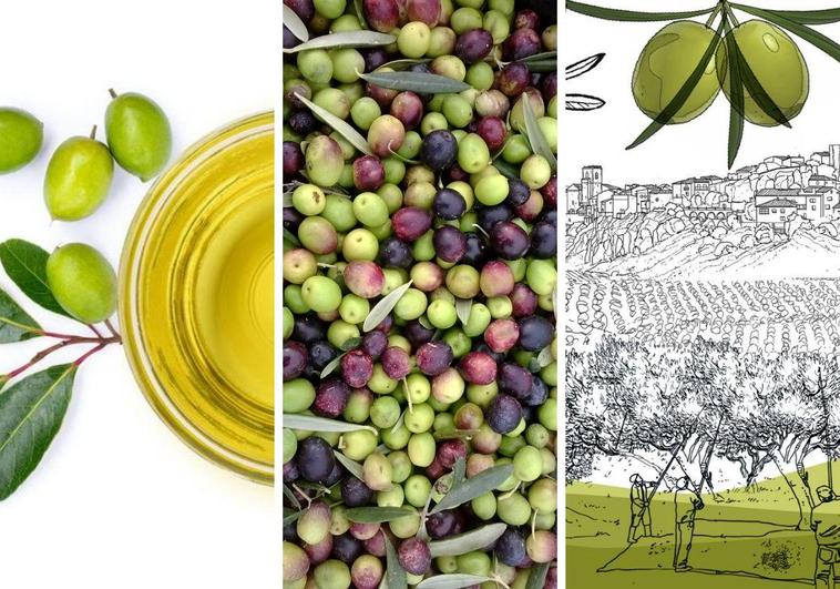 Aceite de oliva virgen y aceitunas de Arribes del Duero.