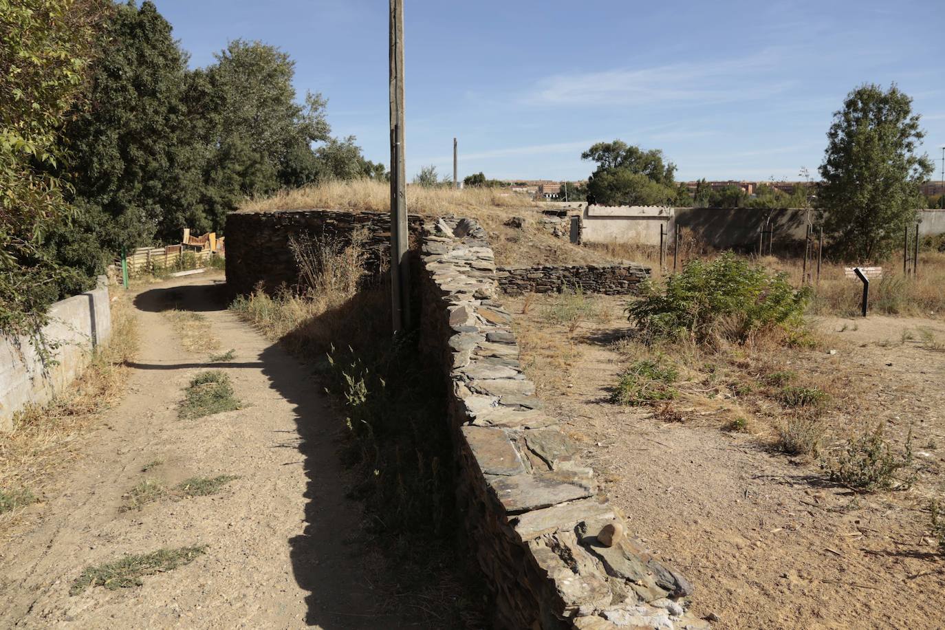 La reforestación de El Marín hace aguas