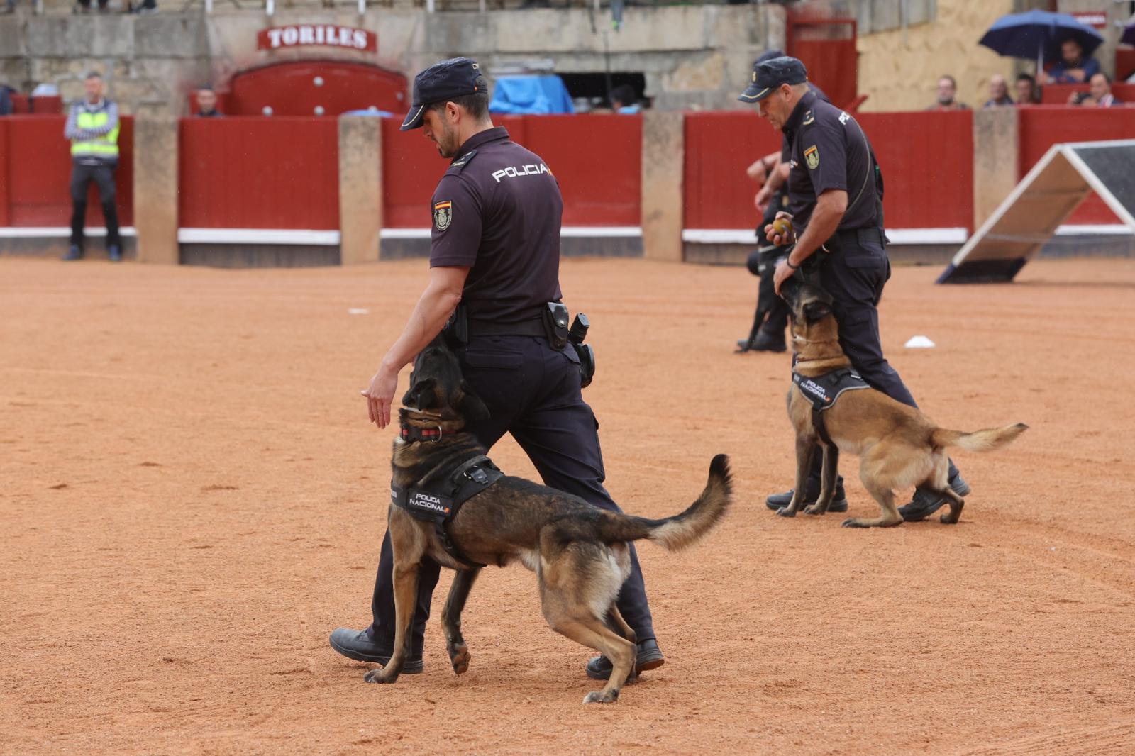 Demostración operativa de la Policía Nacional en la plaza de Toros