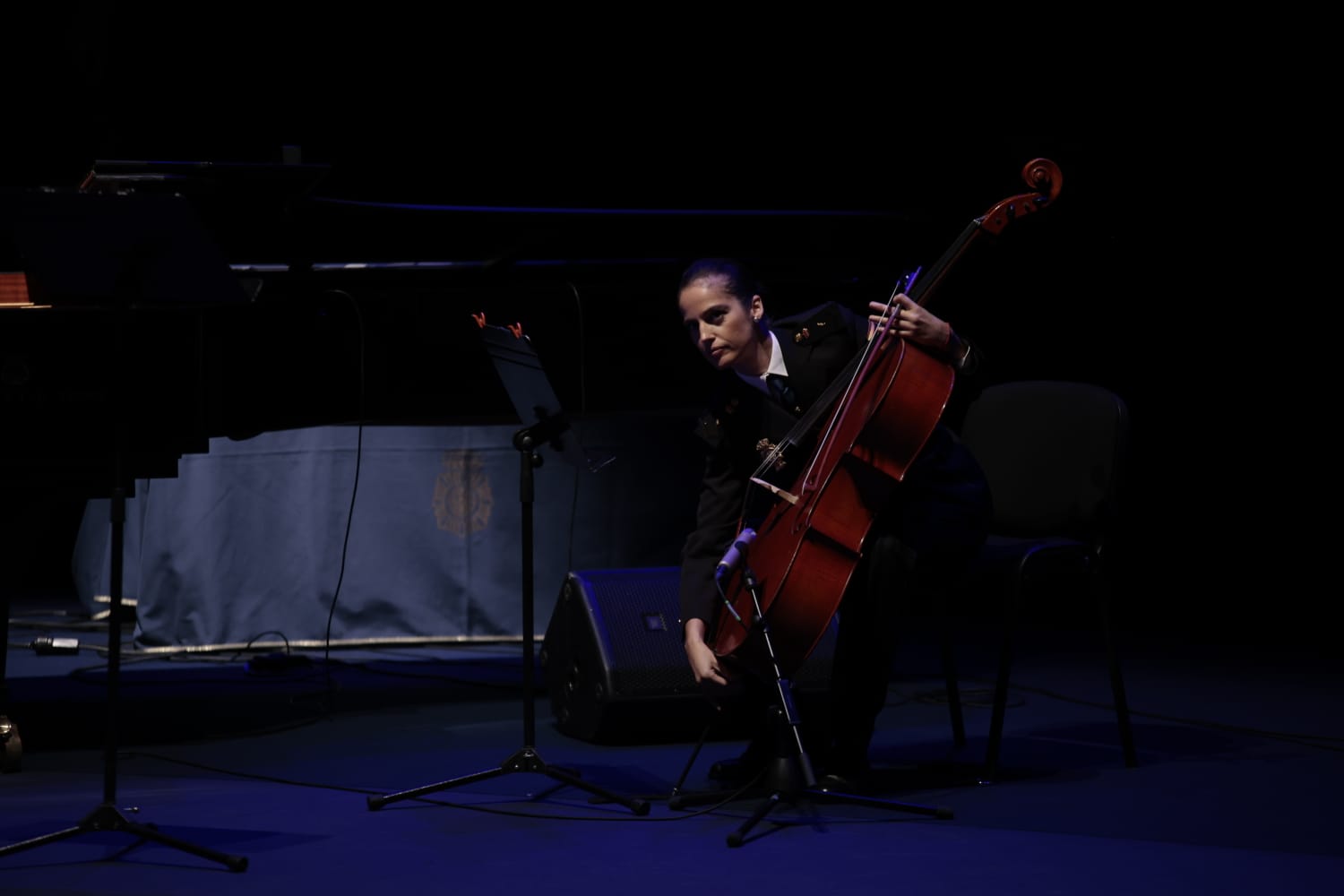 Música y solemnidad en la Gala de Premios de la Policía Nacional