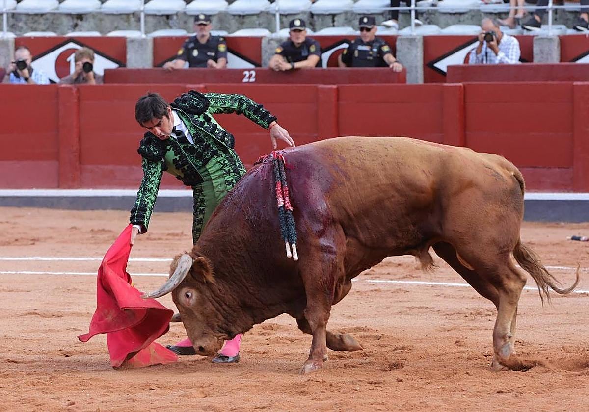 'Madrileño', el ejemplar de Vellosino premiado con el Toro de Oro.