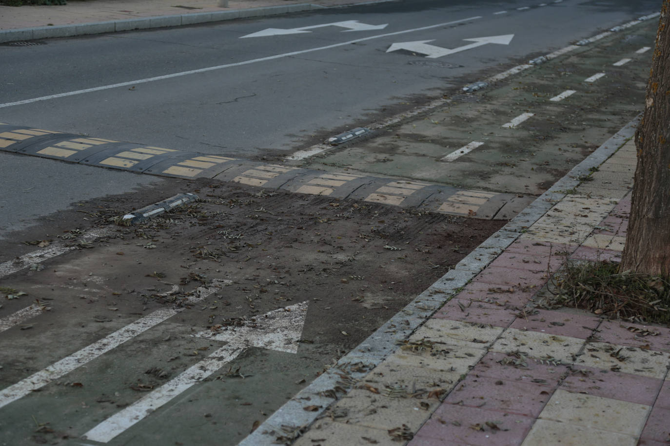 Muchos kilómetros de carril bici pero no más ciclistas