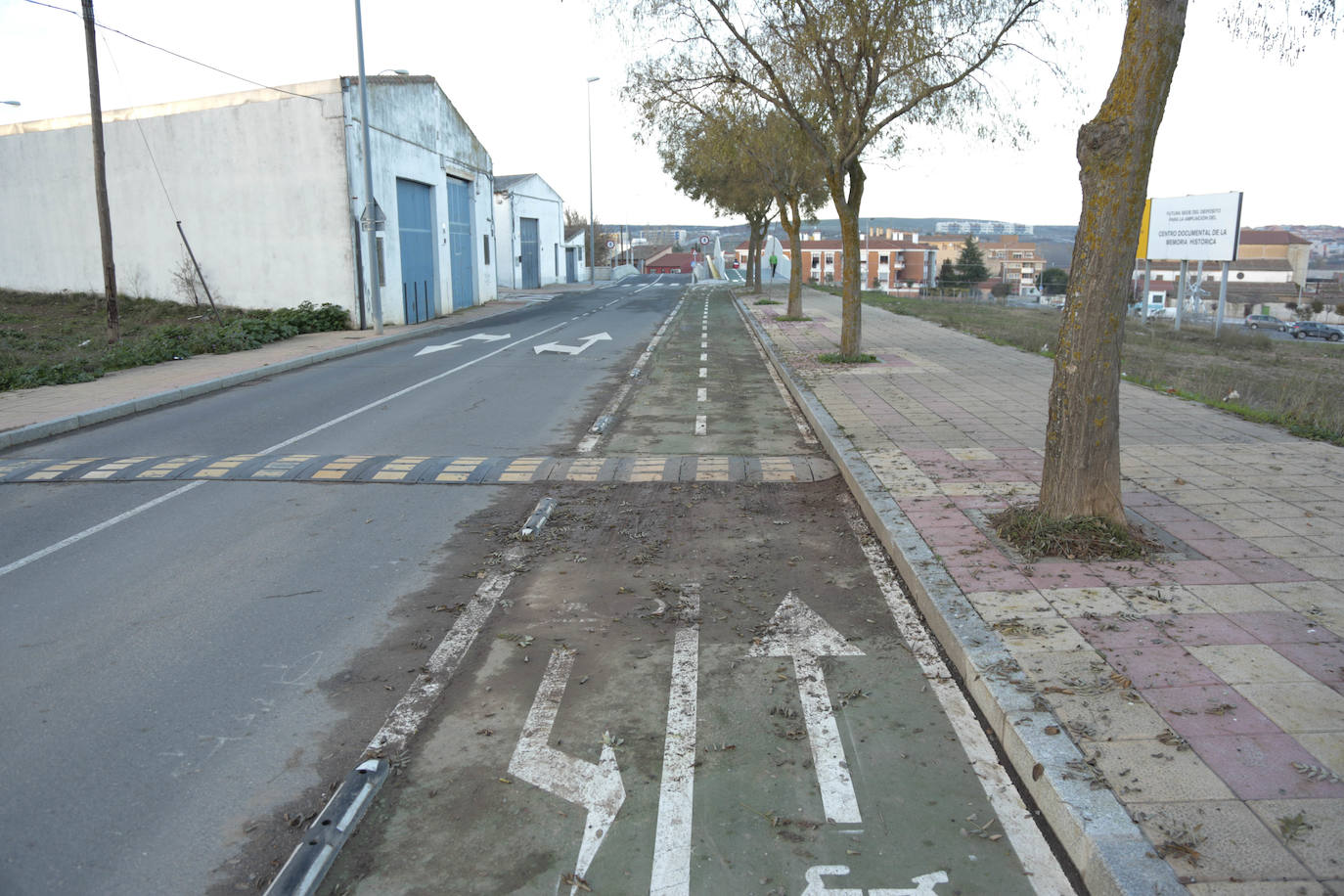 Muchos kilómetros de carril bici pero no más ciclistas