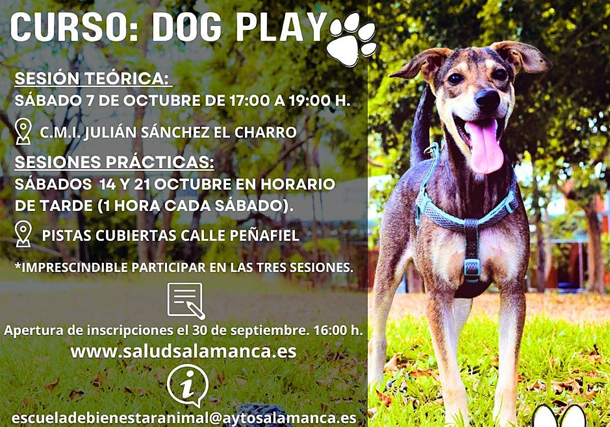 'Dog play', un curso para favorecer la educación y resposabilidad de las mascotas en Salamanca