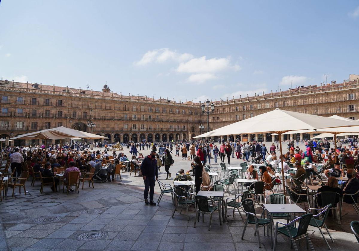 Terrazas de la Plaza Mayor de Salamanca
