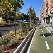 Así desplazan hierba y árboles al asfalto en Salamanca: un cambio con luces y sombras