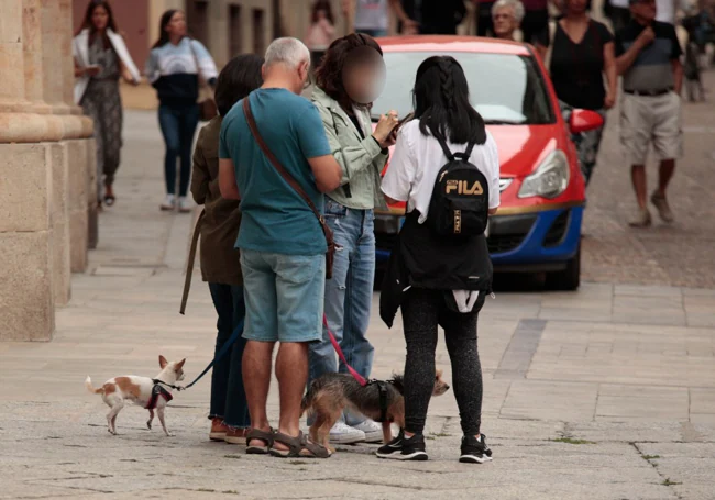 32 parques caninos para casi 15.000 perros censados en Salamanca