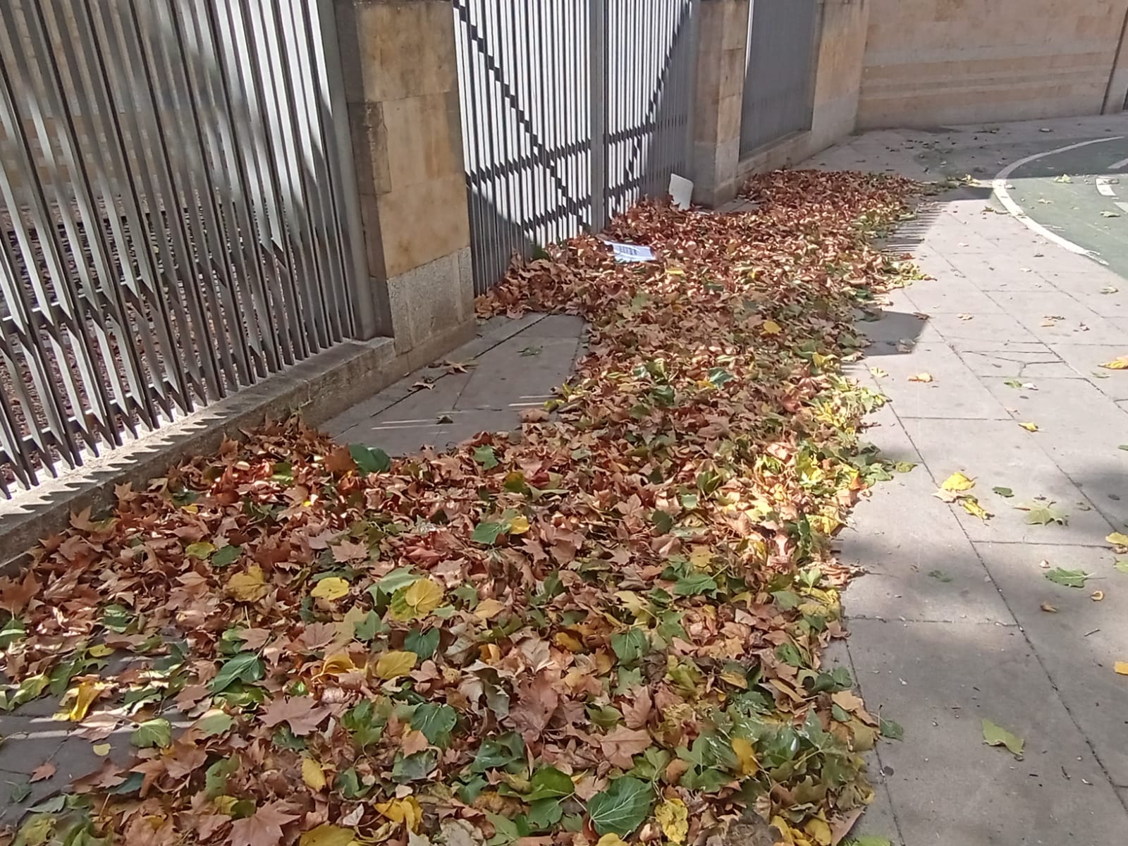 El temporal de viento se ceba con Salamanca