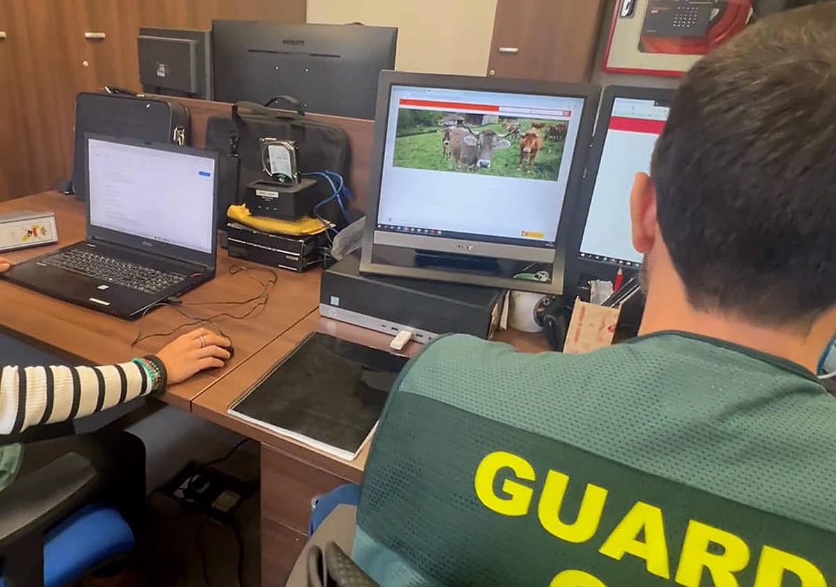 Imagen secundaria 1 - Despliegue de agentes en explotaciones ganaderas investigadas.