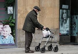 Una persona pasea con su andador por Salamanca.