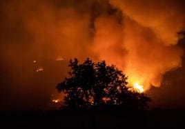 Incendio forestal de Monsagro en el termino municipal de Tenebrón(Salamanca).