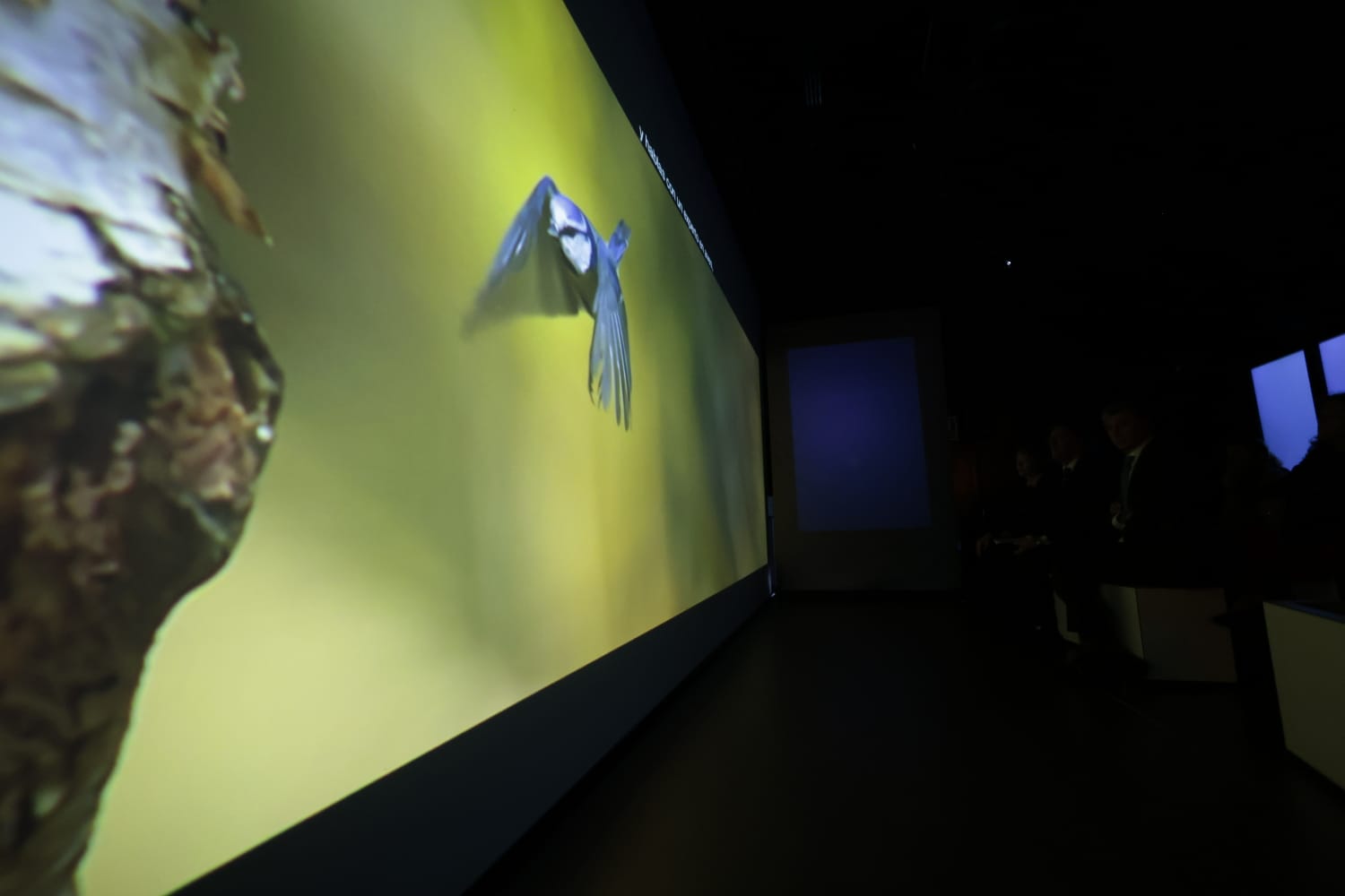 La Fundación »la Caixa» y el Ayuntamiento de Salamanca presentan «Leonardo da Vinci. Observa. Cuestiona. Experimenta.»
