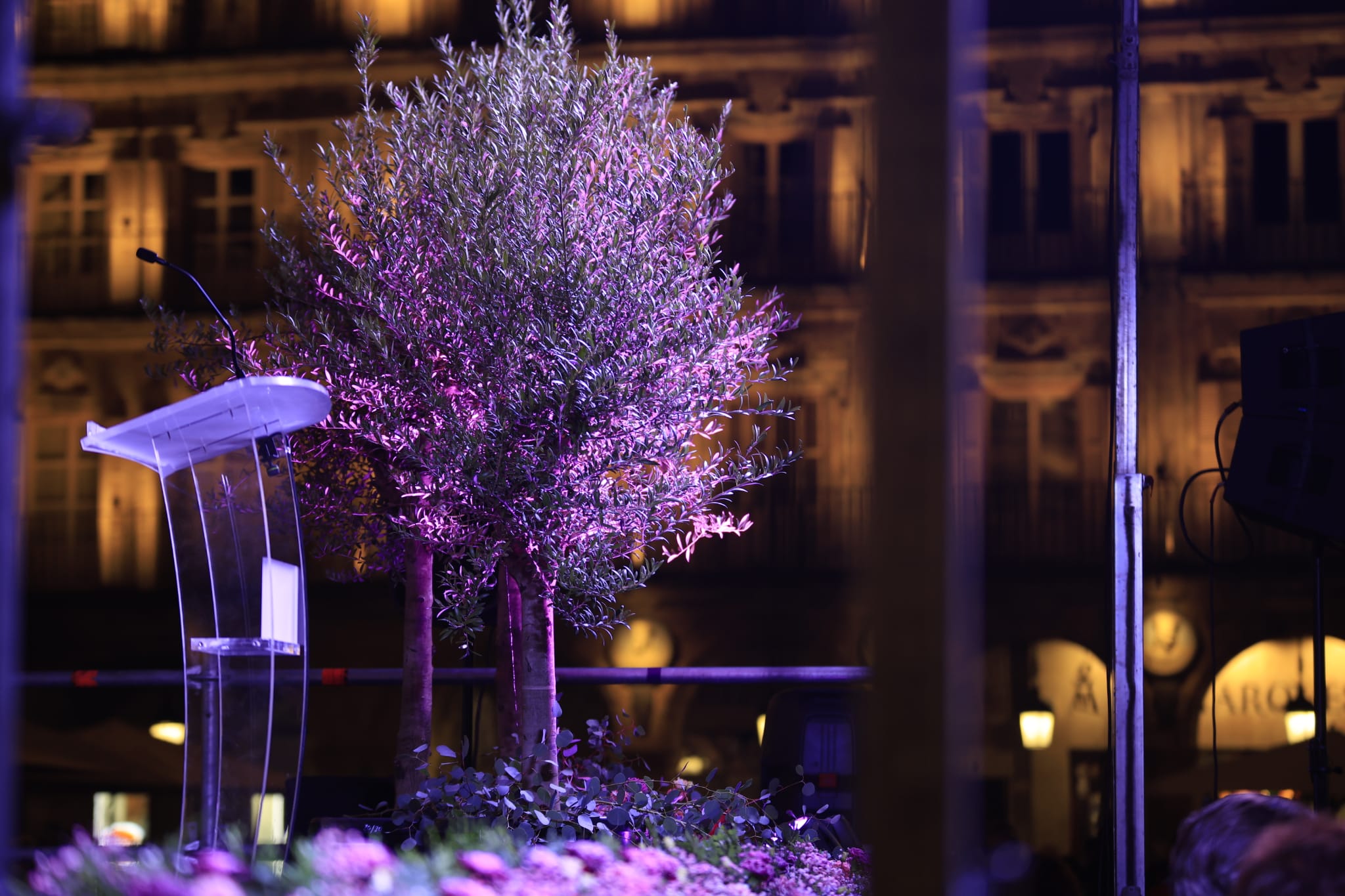 Salamanca manifiesta su rechazo a la violencia de género