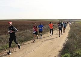 Segunda Jornada de la Liga de Cross en Cabrerizos