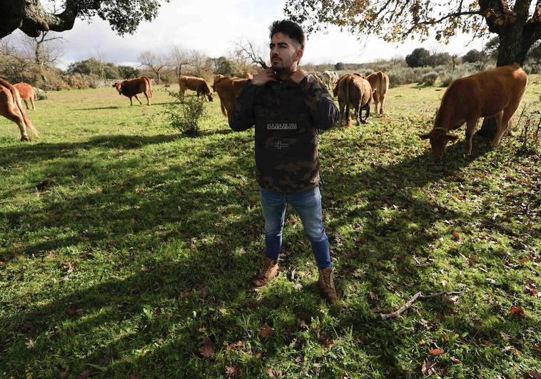 Jesús Rodríguez, con sus vacas.