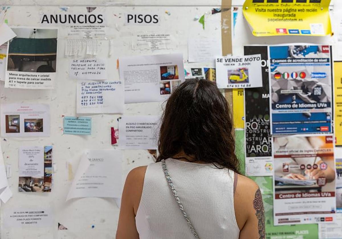 Una estudiante observa anuncios de pisos.