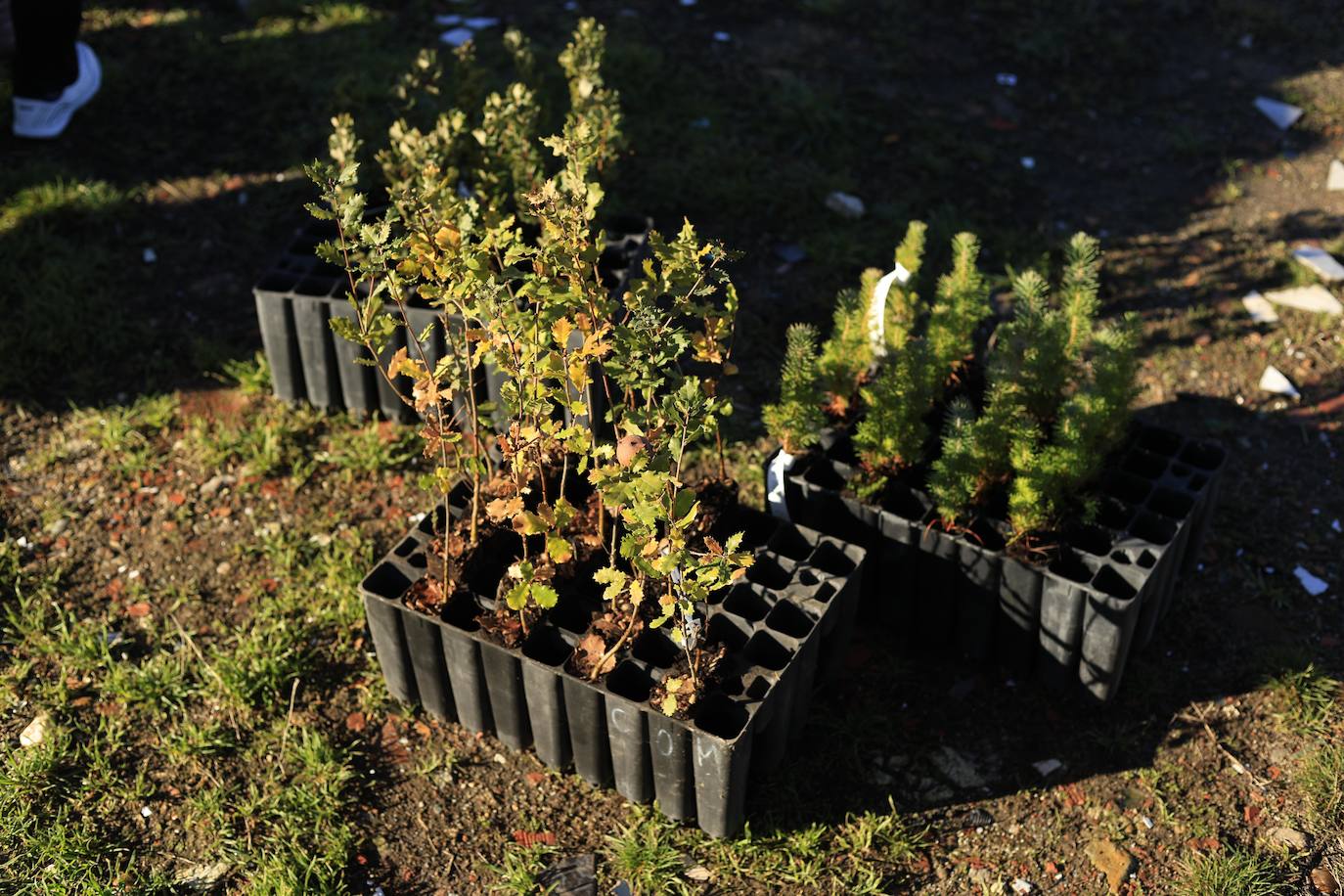 El nuevo camino verde vecinal del Norte de Salamanca