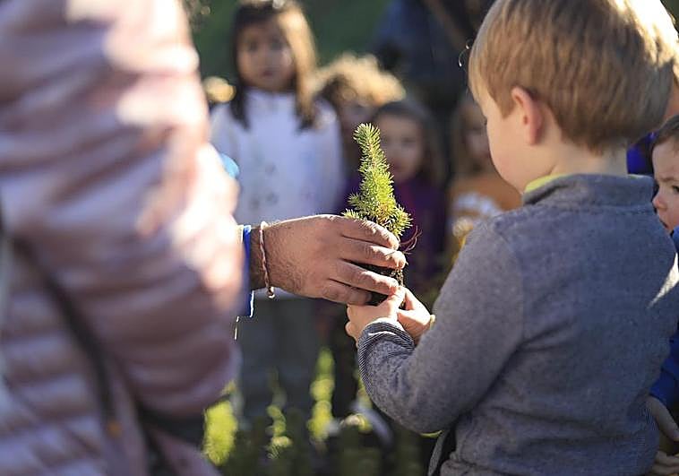 Alumnos de la Escuela Katiuskas plantaron árboles junto al puente de la avenida Torrente Ballester.