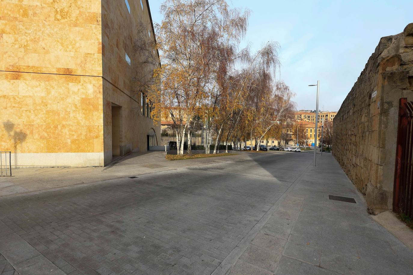 Todas las imágenes del recorrido de la San Silvestre