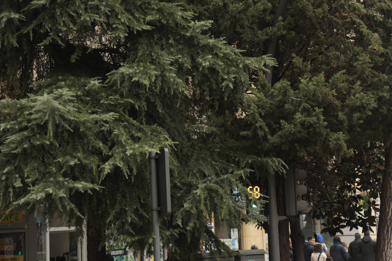 Fotos: Otra mirada a Salamanca: Barrio del Oeste