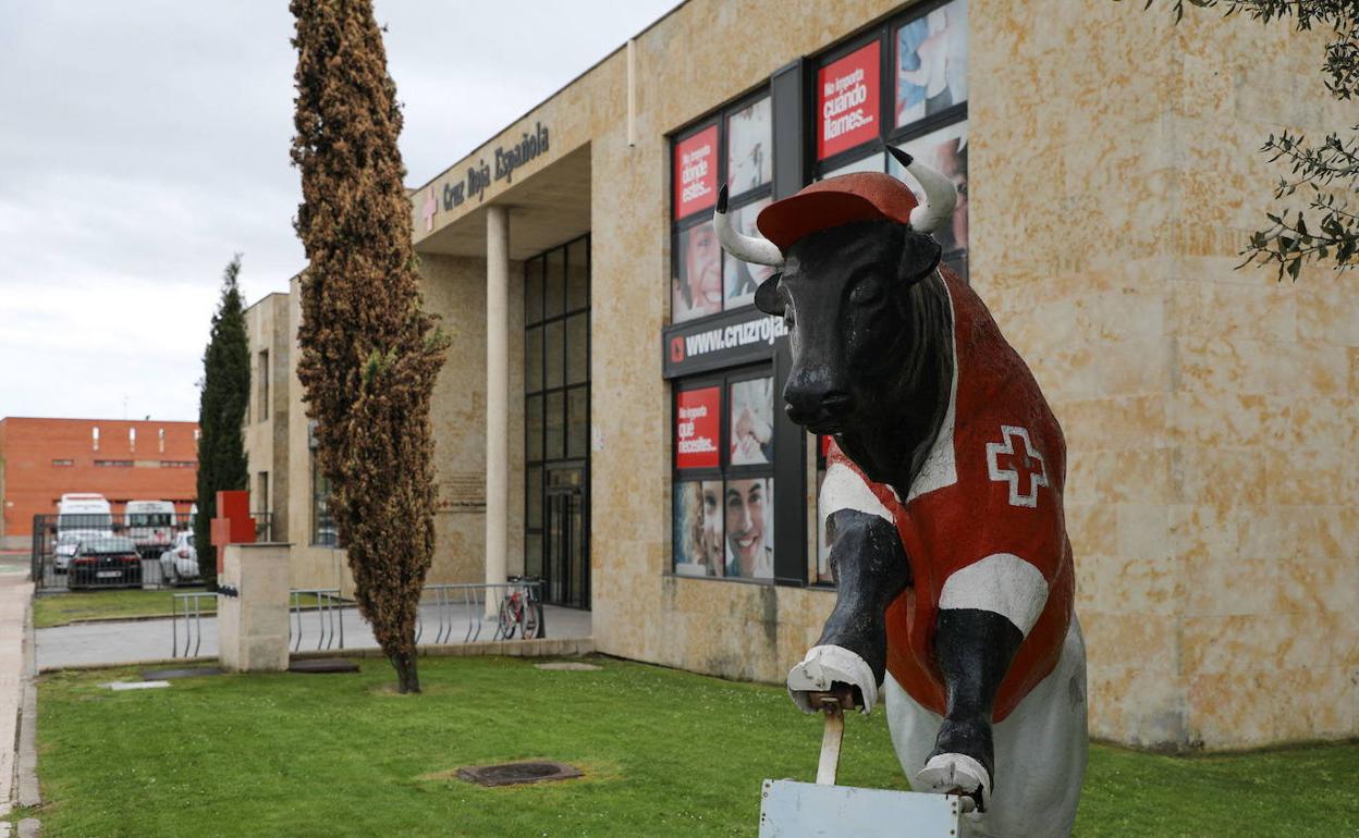Toro de Cruz Roja en el exterior de la sede de la institución en Salamanca.
