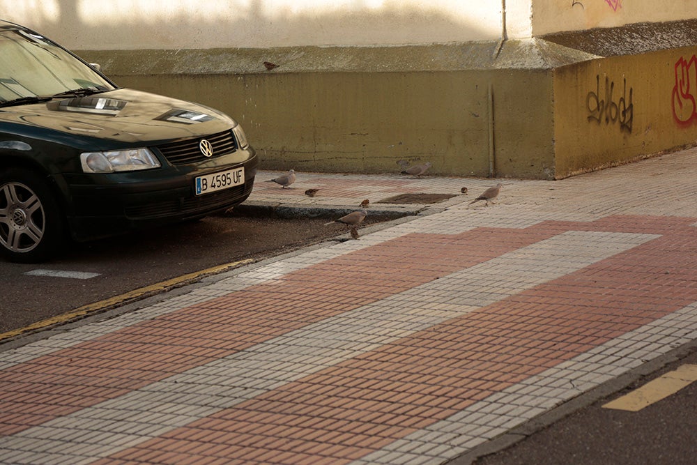 Fotos: Otra Mirada a Salamanca: Barrio Vidal