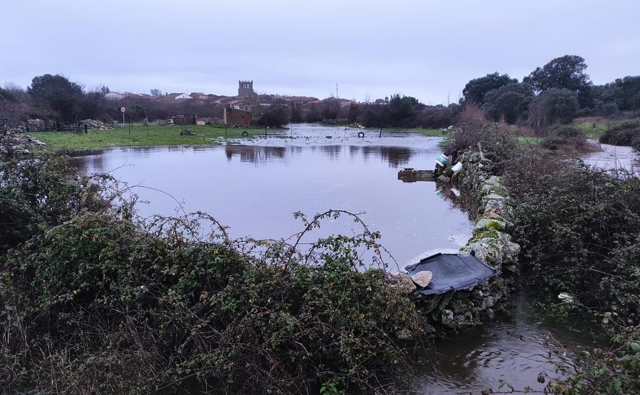 Prados anegados tras el desbordamiento del regato de Valredondo en Guadramiro. 