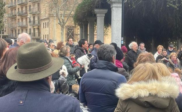 Asistentes al Campo de San Francisco por el día de San Antón.