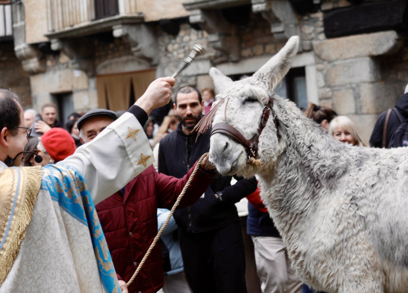 Fotos: La Alberca celebra la festividad de San Antón