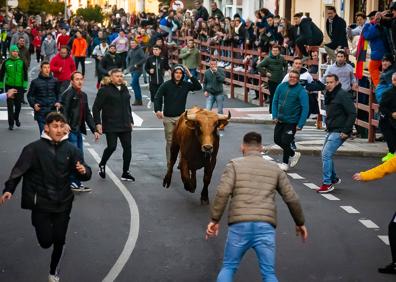 Imagen secundaria 1 - Cientos de vecinos y turistas se han congregado hoy en las calles de Ciudad Rodrigo para participar en Toro de San Sebastián. 