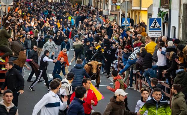 Imagen principal - Cientos de vecinos y turistas se han congregado hoy en las calles de Ciudad Rodrigo para participar en Toro de San Sebastián. 