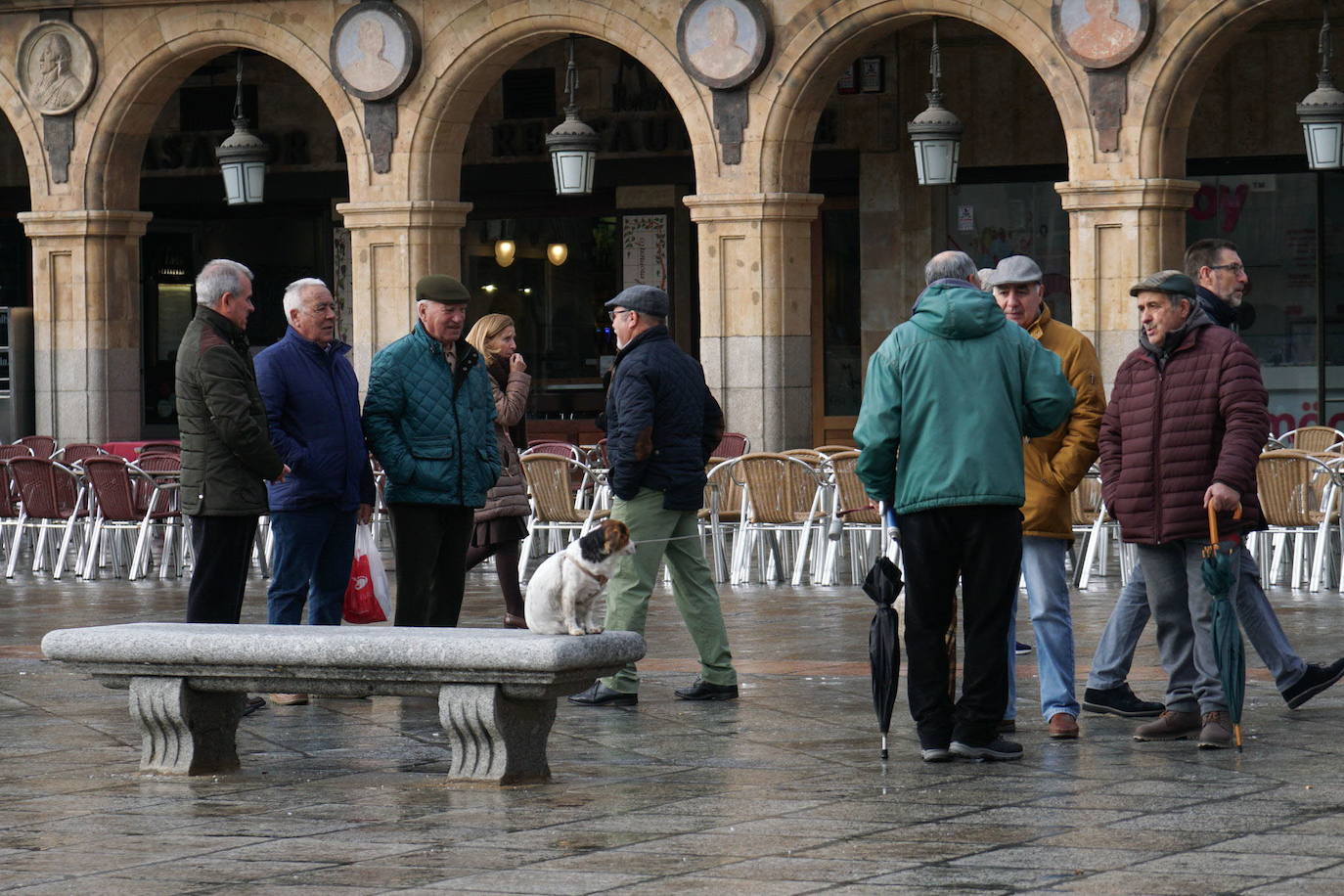 Varias personas conversan por la Plaza Mayor de Salamanca. 