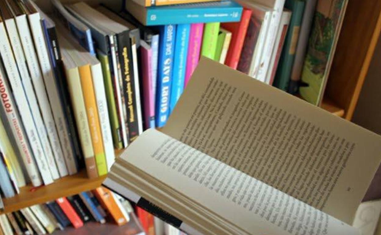 Imagen de archivo de libros. 