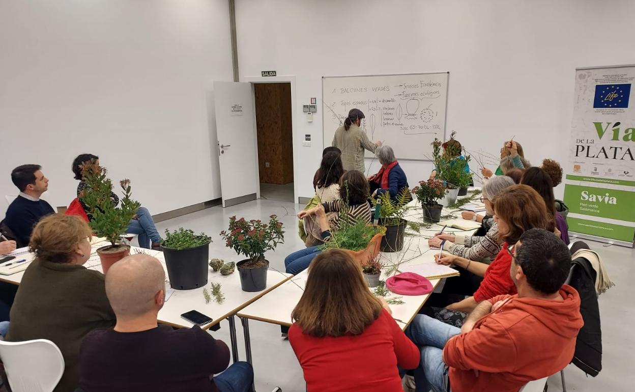 Personas participando en un taller para crear rincones verdes en los hogares enmarcado en el proyecto LIFE Vía de la Plata.