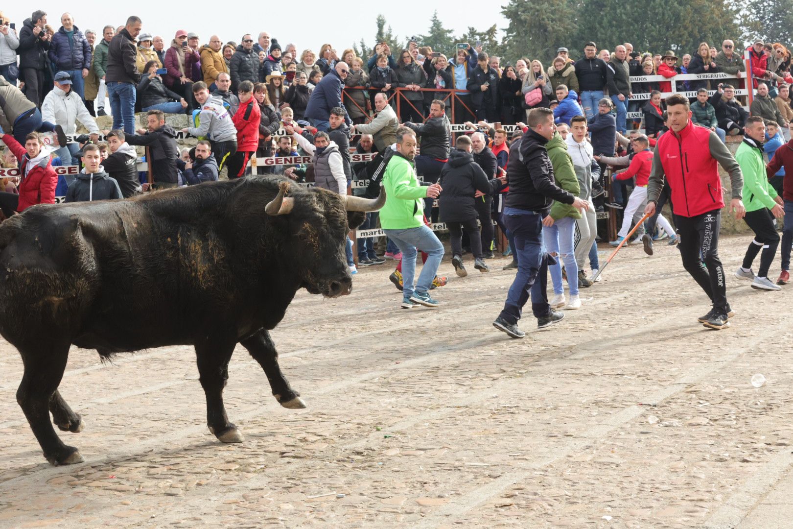 Fotos: Encierro rápido y limpio en Ciudad Rodrigo