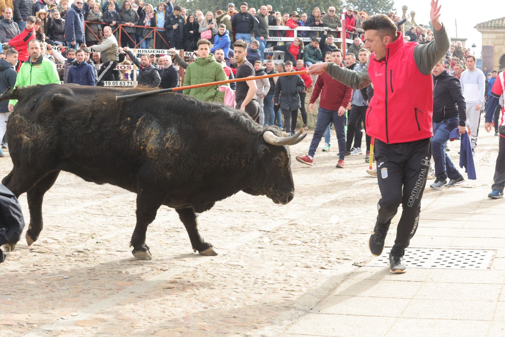 Fotos: Encierro rápido y limpio en Ciudad Rodrigo